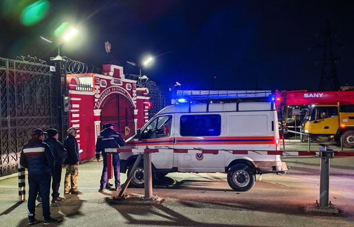 Фото: Максим Богодвид/РИА Новости