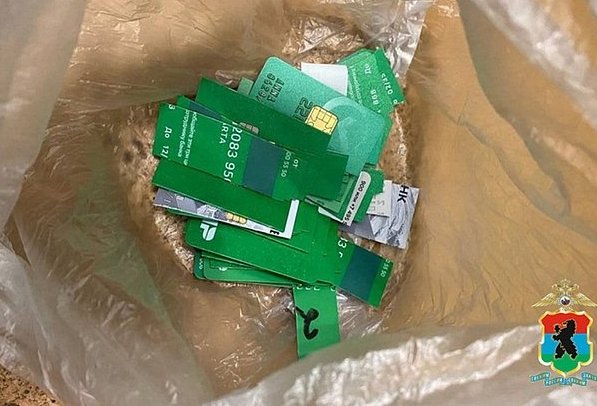 Фото: Кадр: пресс-служба МВД Карелии