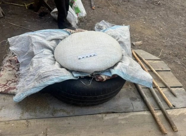 Фото: МВД по Тыве