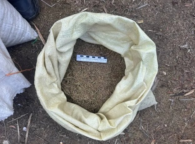 Фото: МВД по Тыве