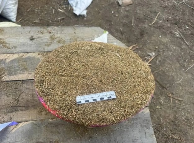 Фото: МВД по Тыве