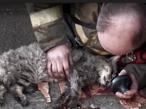 Фото: МЧС Тюменской области/VK