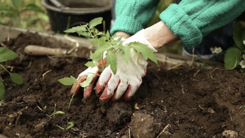 Фото: РИА Новости / Виталий Тимкив