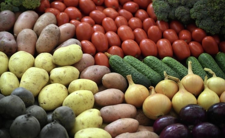 Фото: РИА Новости / Владимир Астапкович