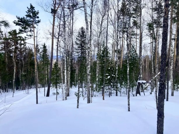 Фото: КГКУ «Спасатель»