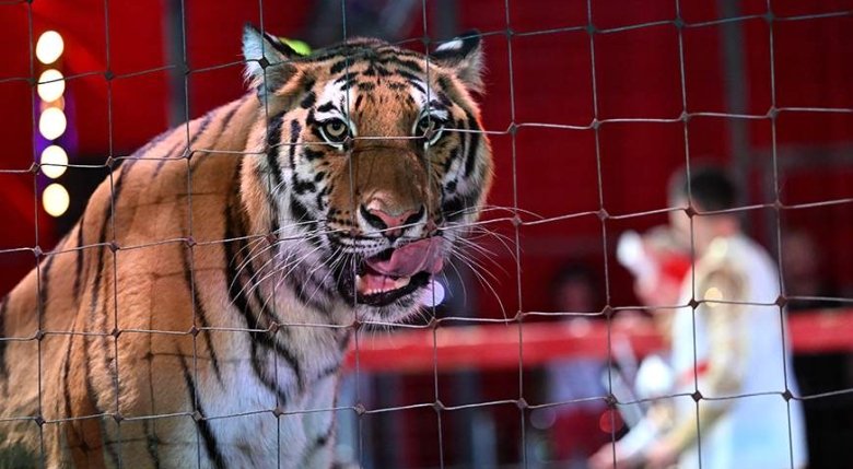 Фото: Global Look Press/Komsomolskaya Pravda