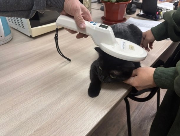 Фото: Управление Россельхознадзора по Хакасии и Тыве