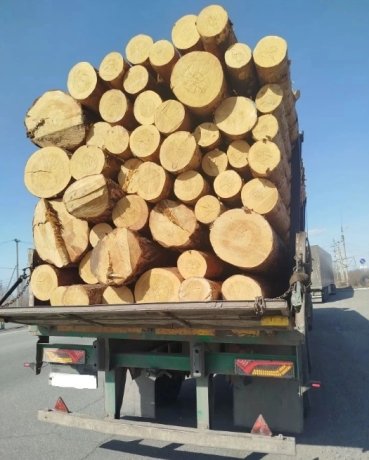 Фото: Управление Россельхознадзора по Хакасии и Тыве