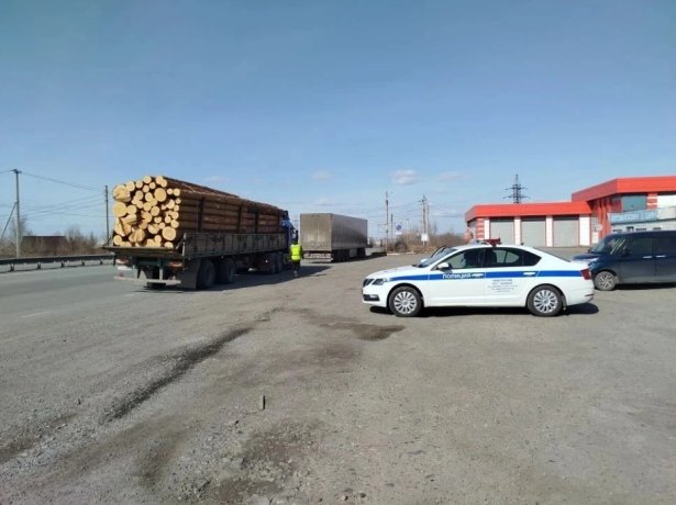 Фото: Управление Россельхознадзора по Хакасии и Тыве