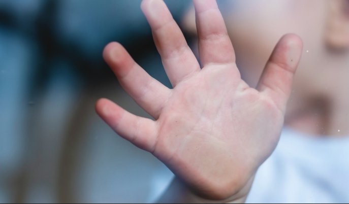 Фото: Artem Oleshko/shutterstock