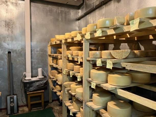 Фото: Сергей Сокол