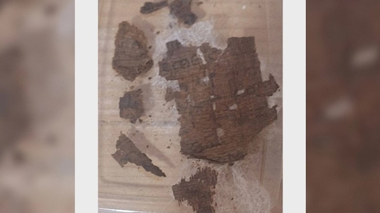 Фото: Обложка © web.ub.edu