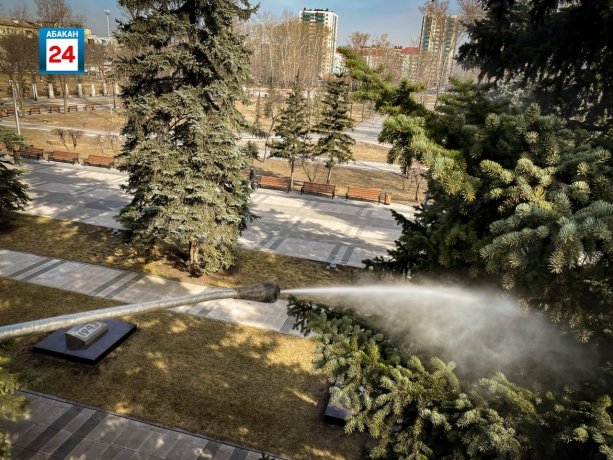 Фото: Абакан 24