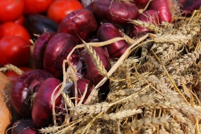 Фото: Минсельхоз Хакасии 