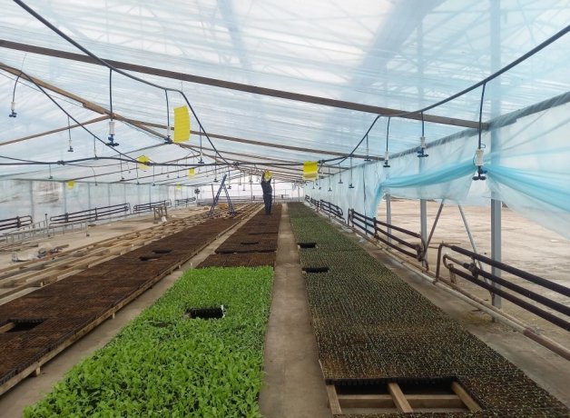 Фото: Управление Россельхознадзора по Хакасии и Тыве