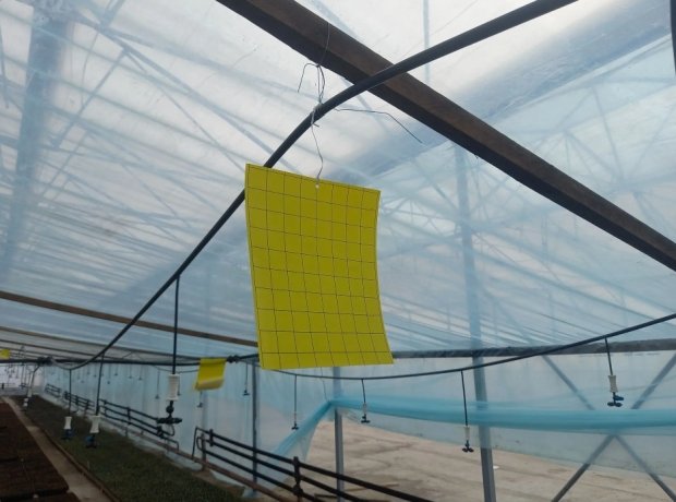 Фото: Управление Россельхознадзора по Хакасии и Тыве