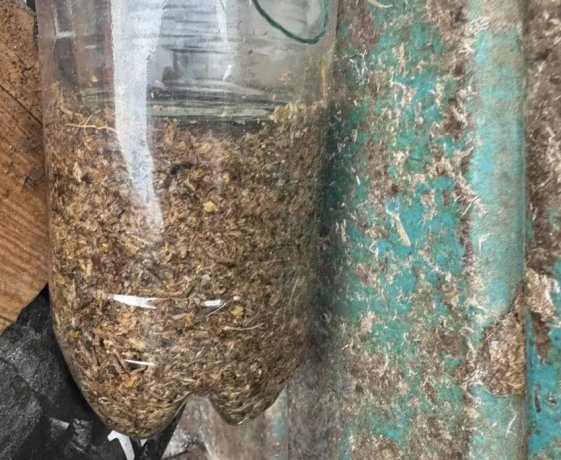 Фото: МВД по Хакасии