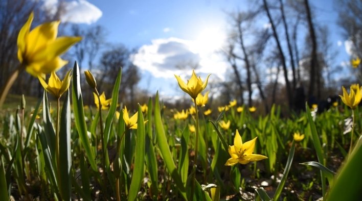 ФОТО: Олег Рукавицын