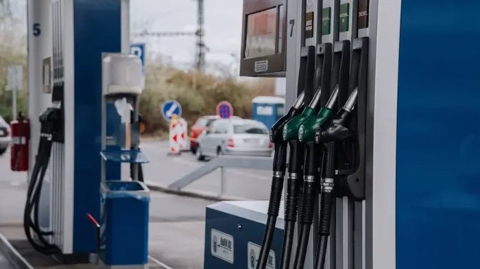 Фото: shutterstock