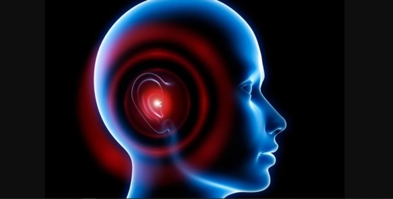 Фото: Shutterstock.com