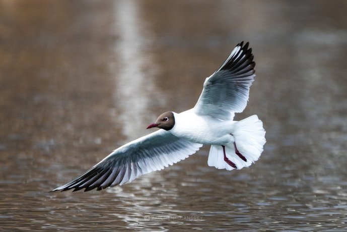 Фото: Андрей Зайченко