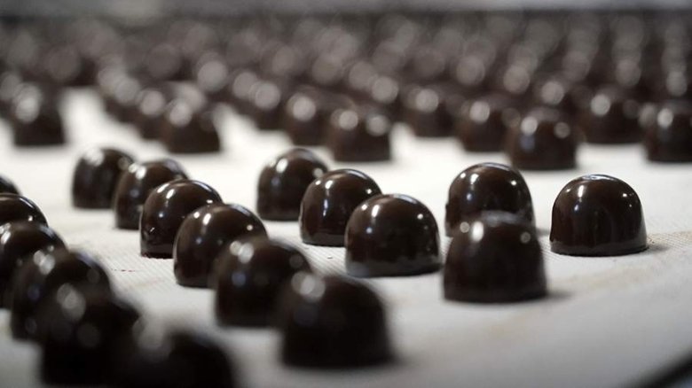 Фото: ИЗВЕСТИЯ/Павел Волков