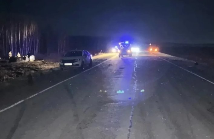 Фото: МВД по Красноярскому краю