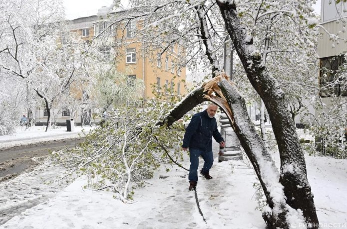 Фото: РИА Новости / Михаил Воскресенский