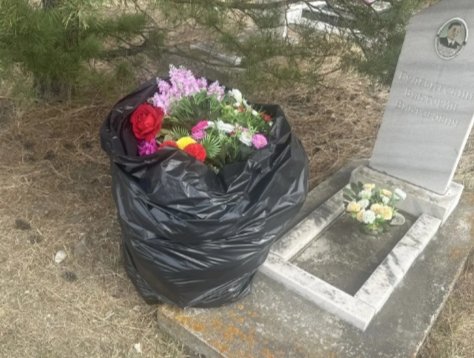 Фото: Администрация Абакана