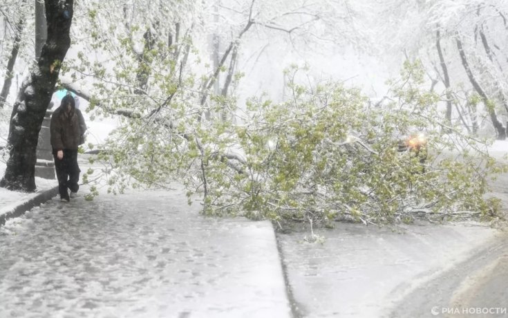 Фото:  РИА Новости / Михаил Воскресенский
