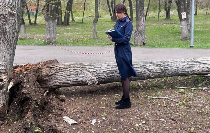 Фото: СУ СК РФ по Самарской области