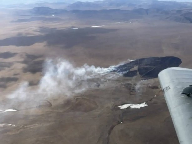 Фото: Минлес Хакасии 