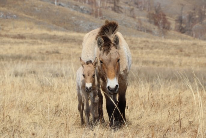 Фото: Д. Чулочников