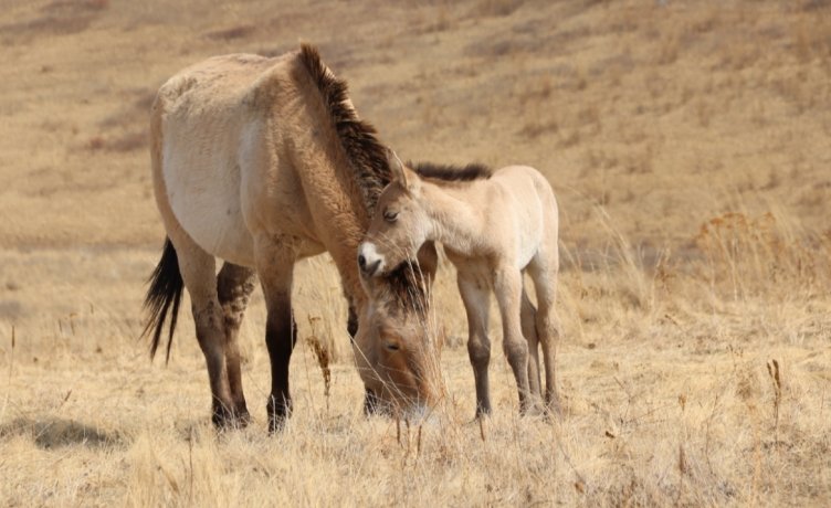 Фото: Д. Чулочников