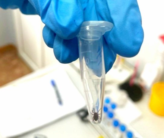 Фото: Роспотребнадзор по Хакасии