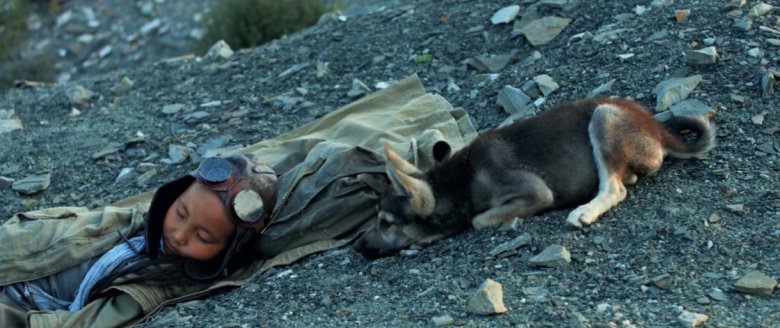 Фото: Юрий Курочка