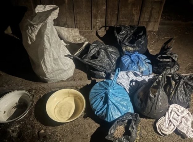 Фото: МВД по Тыве