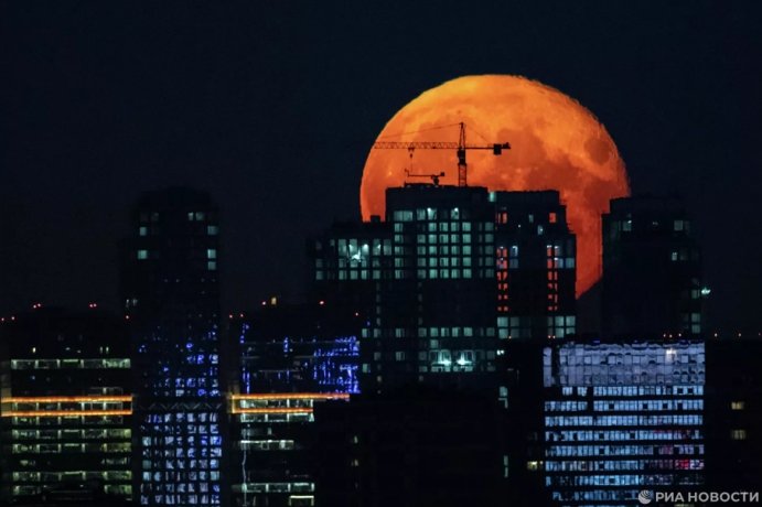 Фото:  РИА Новости / Максим Блинов