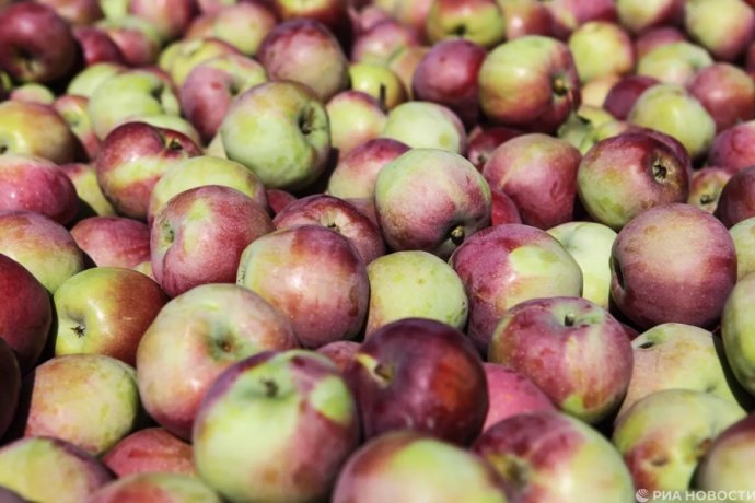 Фото: РИА Новости / Денис Абрамов 