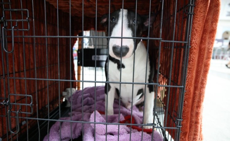 Фото © Анастасия Романова / Абзац