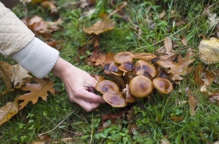 Фото: wirestock / freepik.com