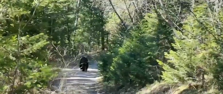 Фото: Стопкадр видео Алены Толстыгиной