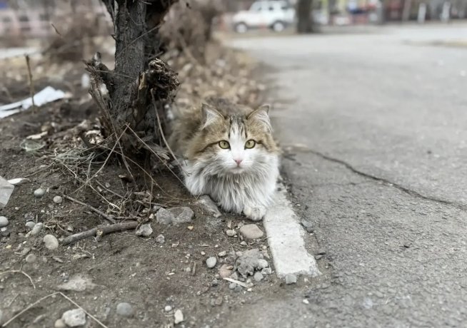 Фото: АДИ19