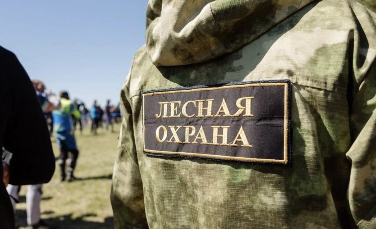 Фото: Минлес Хакасии