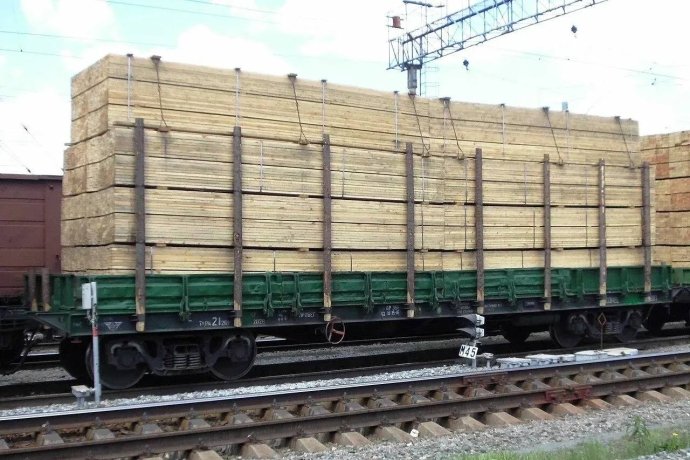 Фото: Россельхознадзор по Хакасии и Тыве 