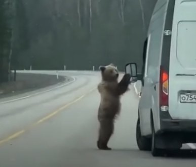 Стоп-кадр видео happy_happinessss/instagram* *принадлежит Meta, признанной экстремистской и запрещенной в РФ