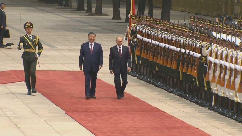 Фото: кадр видео /rg.ru