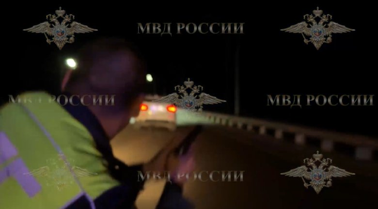 Фото: Стопкадр видео МВД России