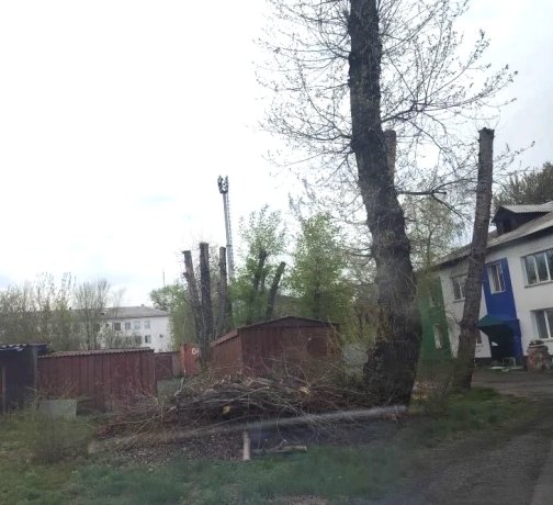 Фото: Прокуратура Хакасии