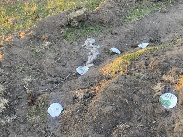 Фото: МВД по Хакасии
